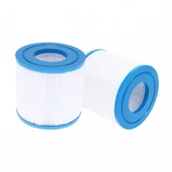 Lot De 2 Filtres Spa (40101 / C-4310 / PWW10 / FC-3077)